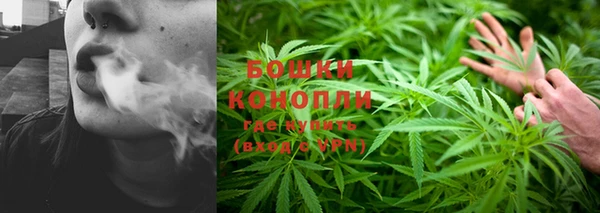 гидропоника Горняк