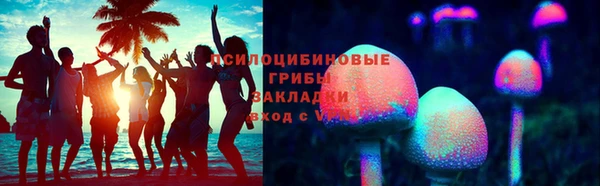 гидропоника Горняк