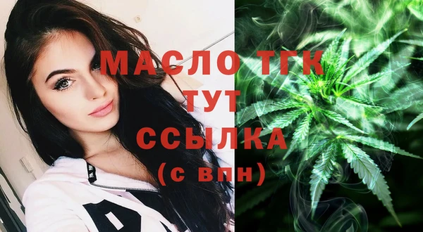 гидропоника Горняк