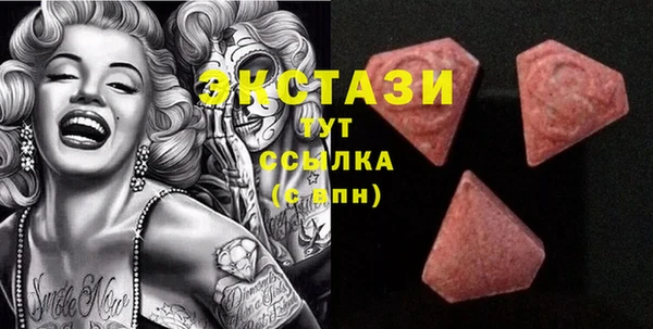 гидропоника Горняк