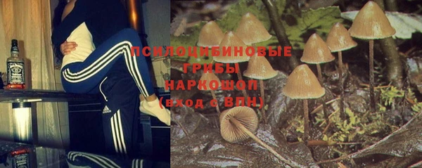 гидропоника Горняк