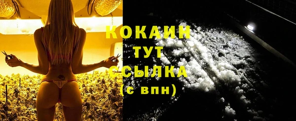 гидропоника Горняк