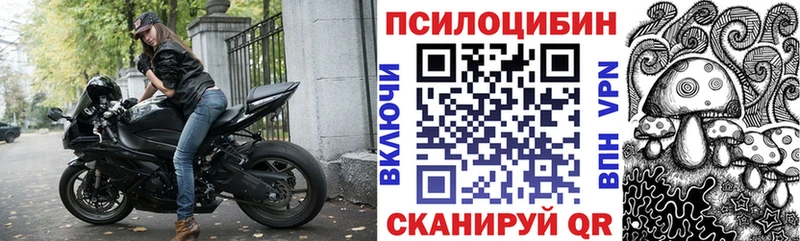Галлюциногенные грибы Psilocybe  Купить  Богучар 